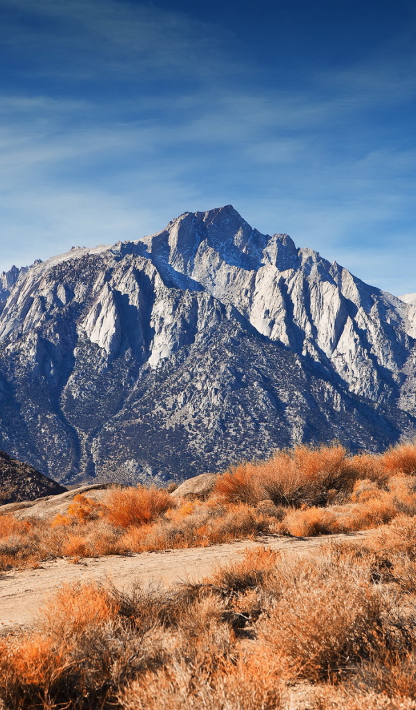 Горный хребет