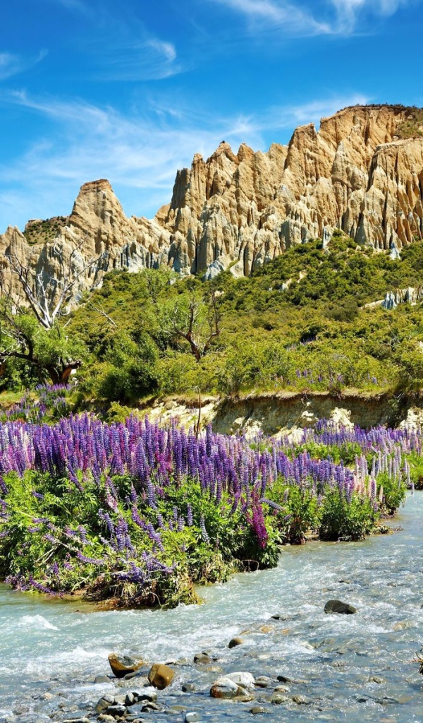 Скалы и речка