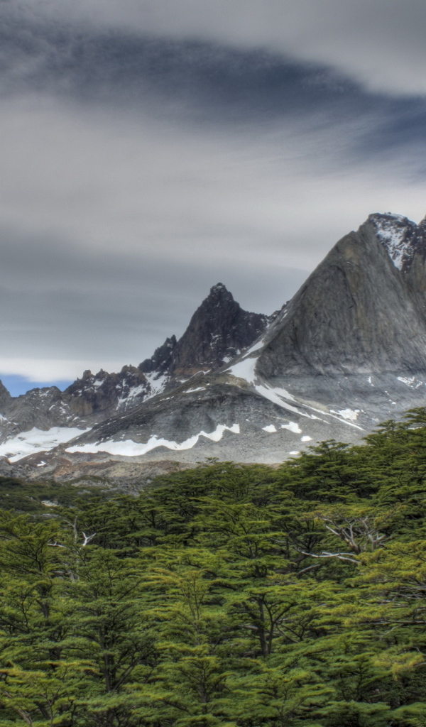 Скалы за лесом