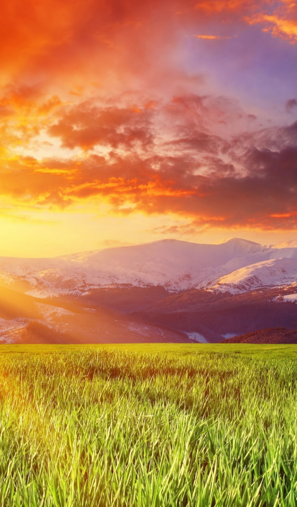 Заснеженные горы на горизонте