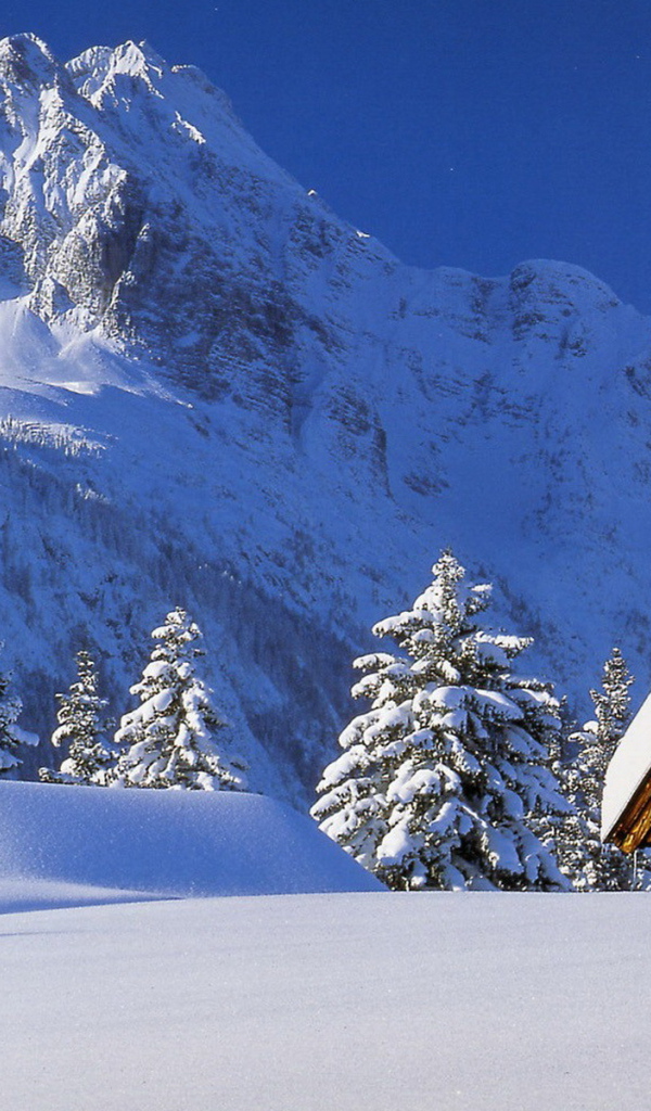 Снежная вершина