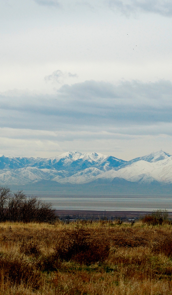 Снежные вершины