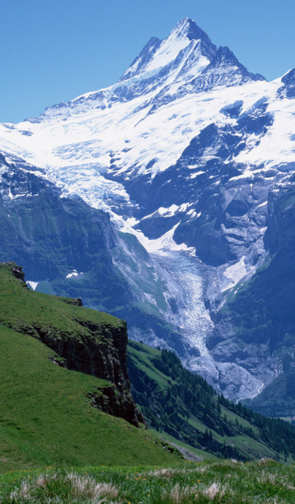 Снежная вершина