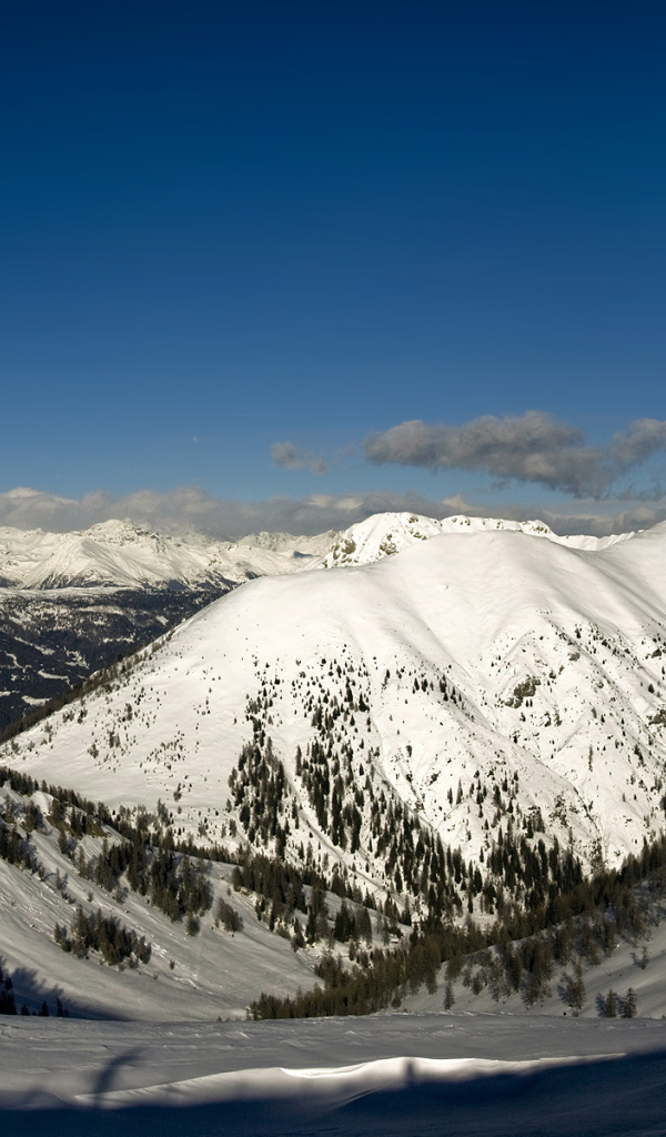 Снежные вершины