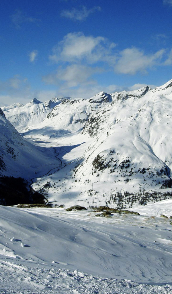 Снежные вершины