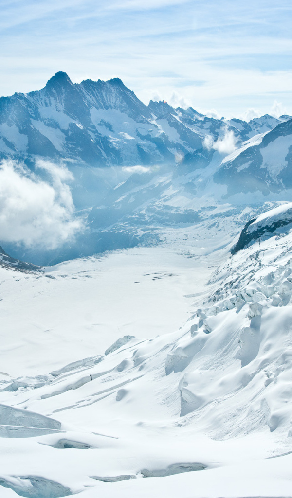 Снежные вершины