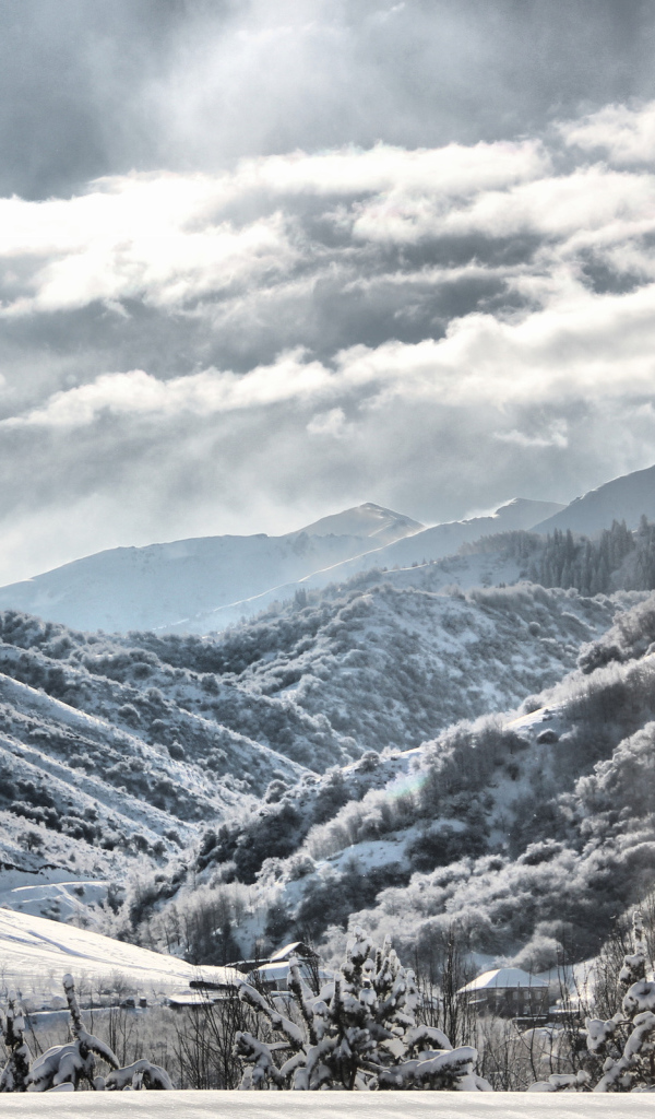 Снежные склоны