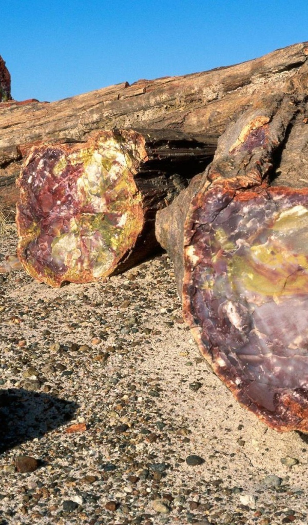 Древняя порода