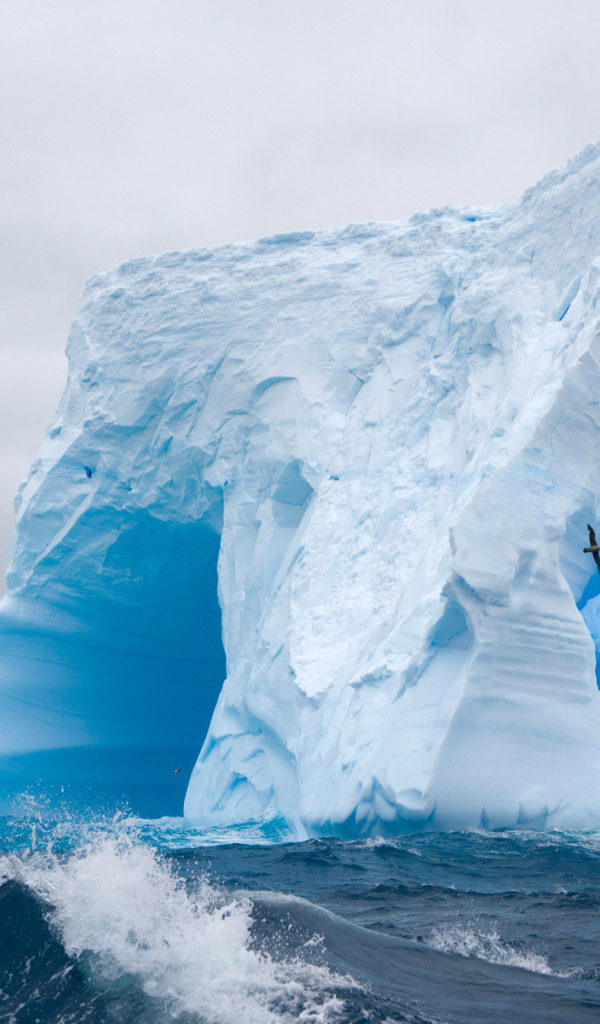 Айсберг в море