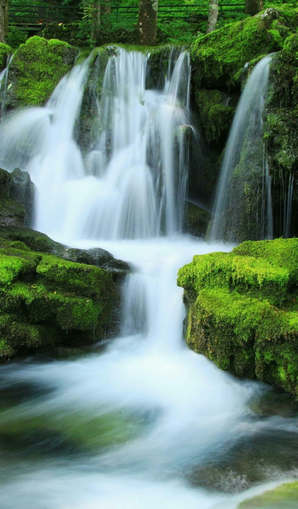 Стремящийся ручей