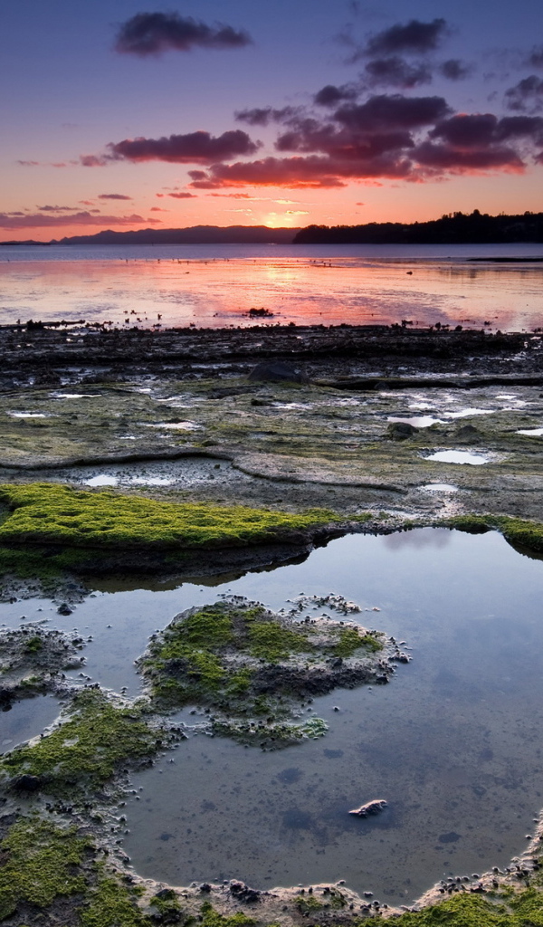 Омелевший берег