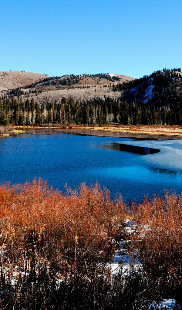 Красивый пейзаж