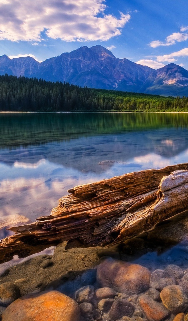 Красивый пейзаж