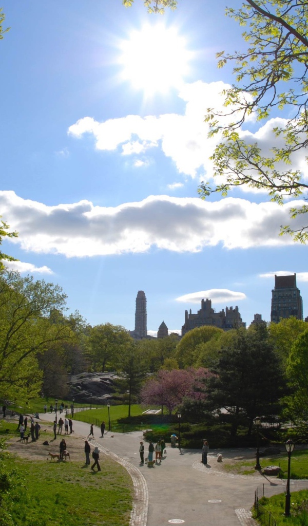 Городской парк