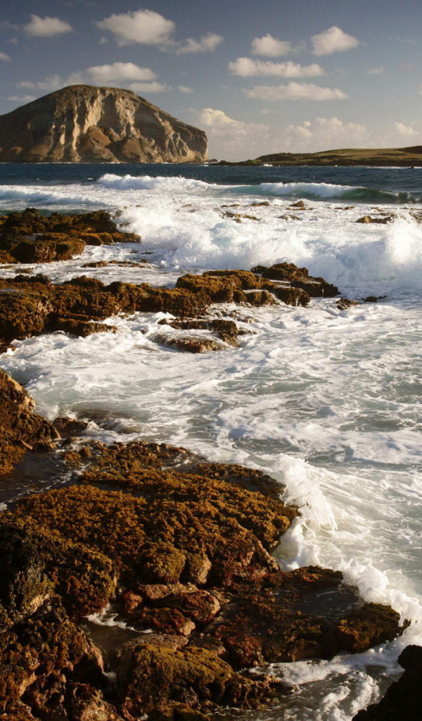 Морской берег