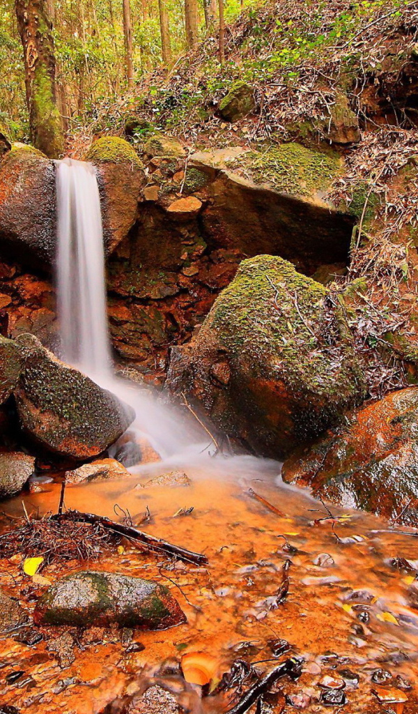 Ручей и камни