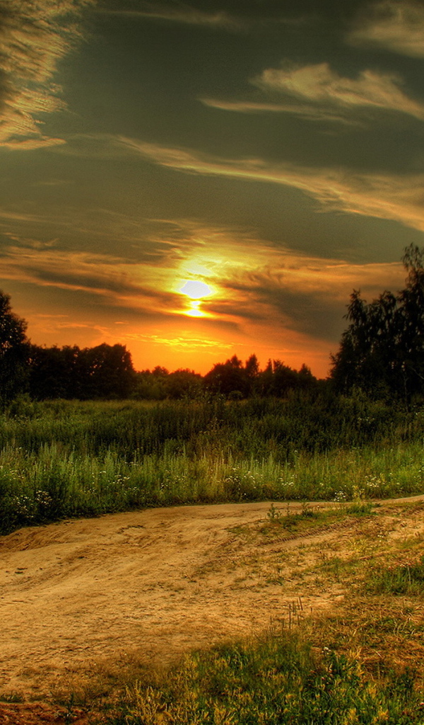 Грунтовая дорога