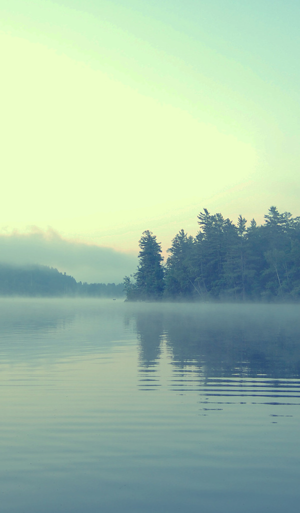 Туман в сумерках