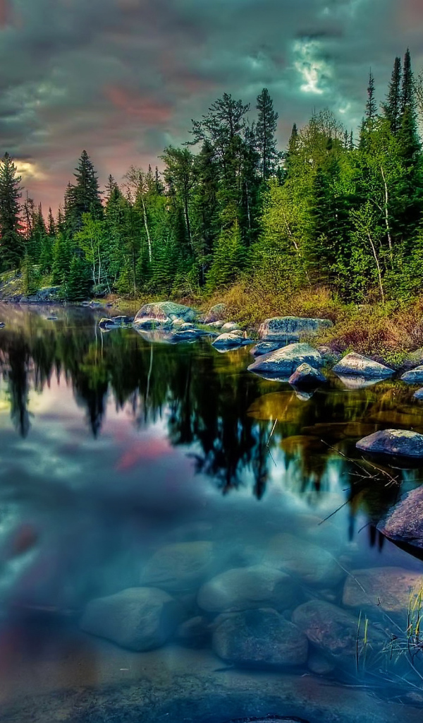 Лесное озеро