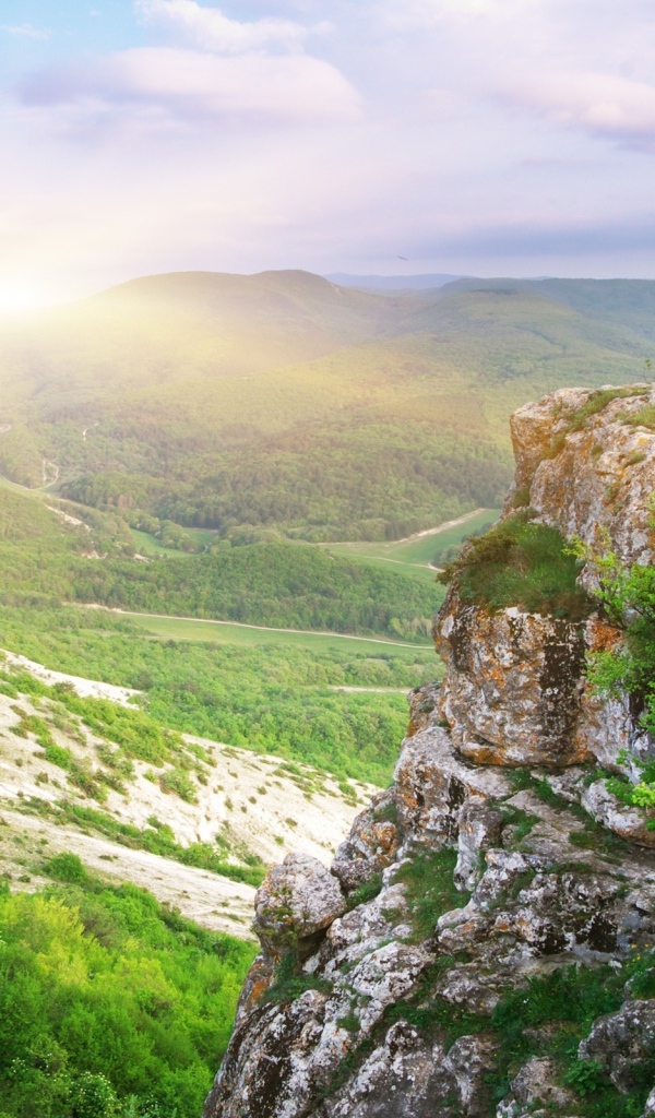 Лесная долина