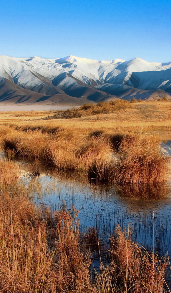 Болото и горы