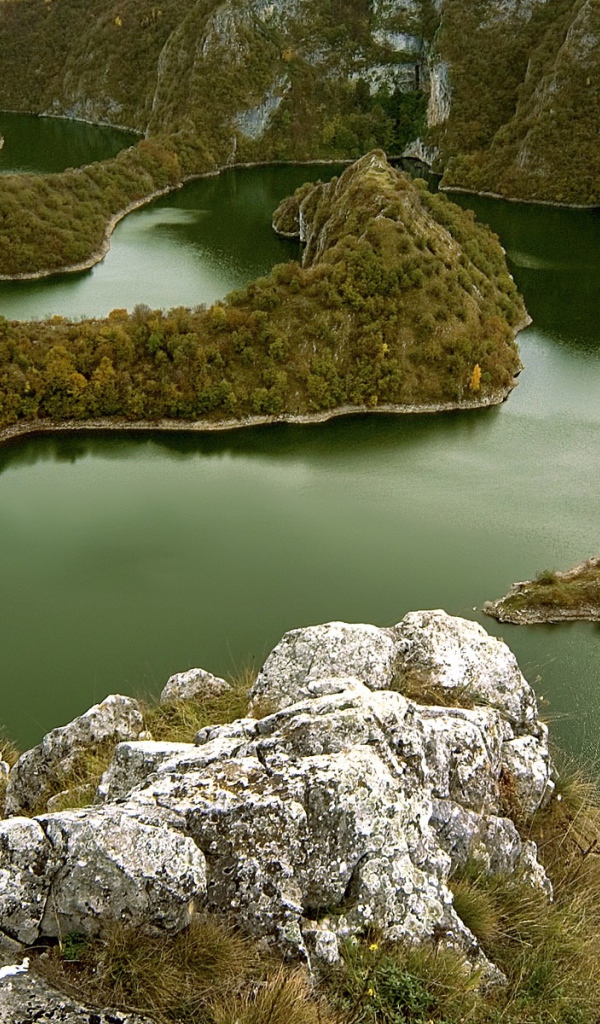 Извилистая река