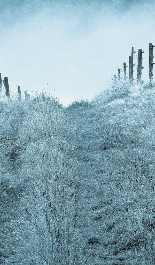 Туманным утром