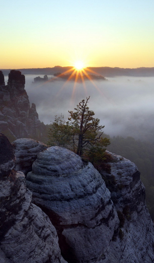 Горы и туман