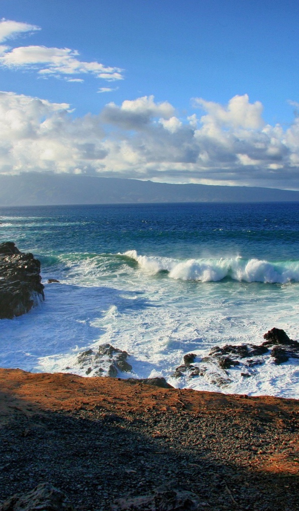 Берег океана