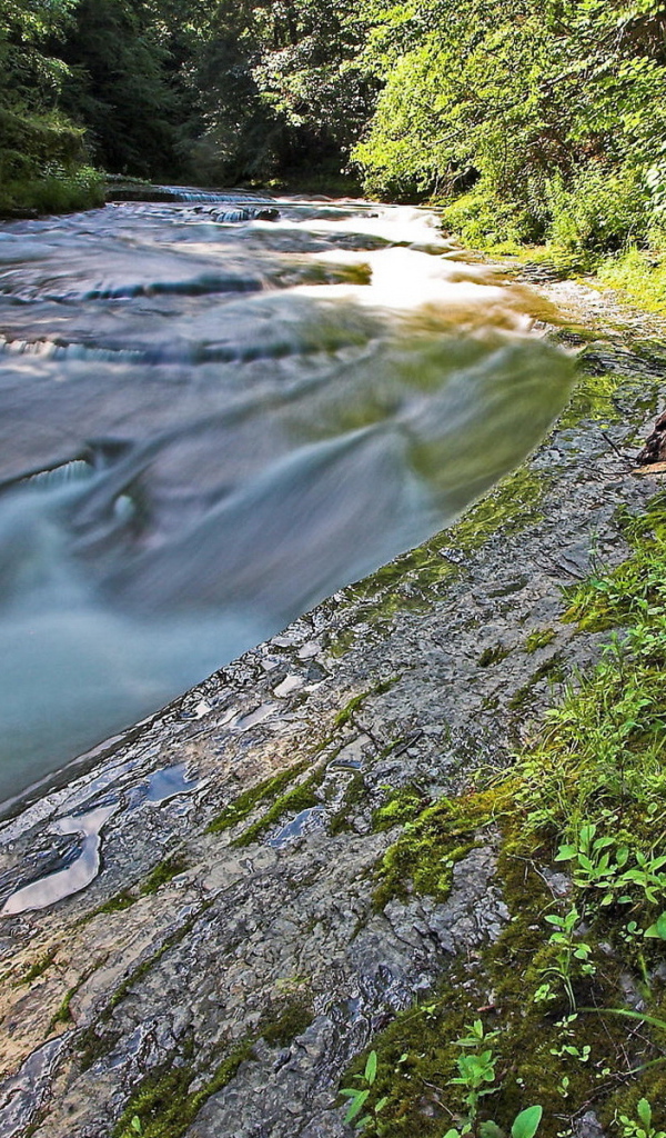 Стремительная речка