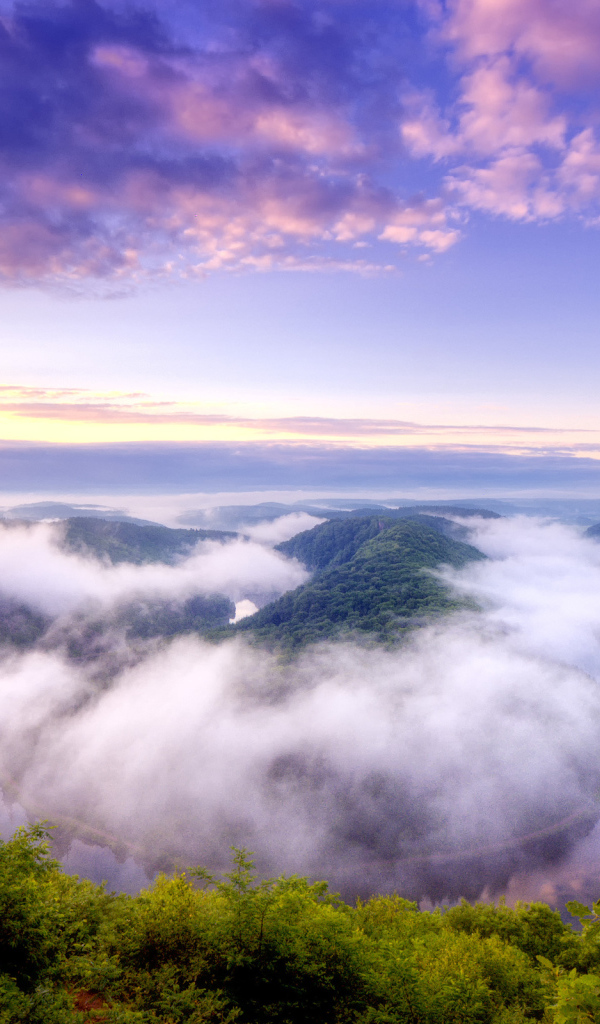 Река в тумане