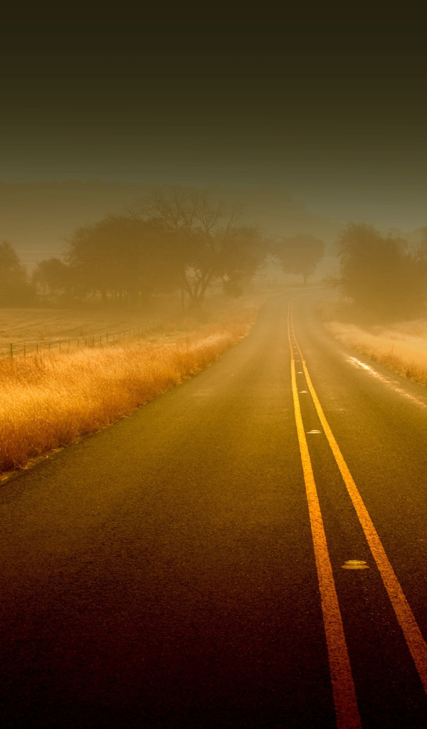 Дорога вперед