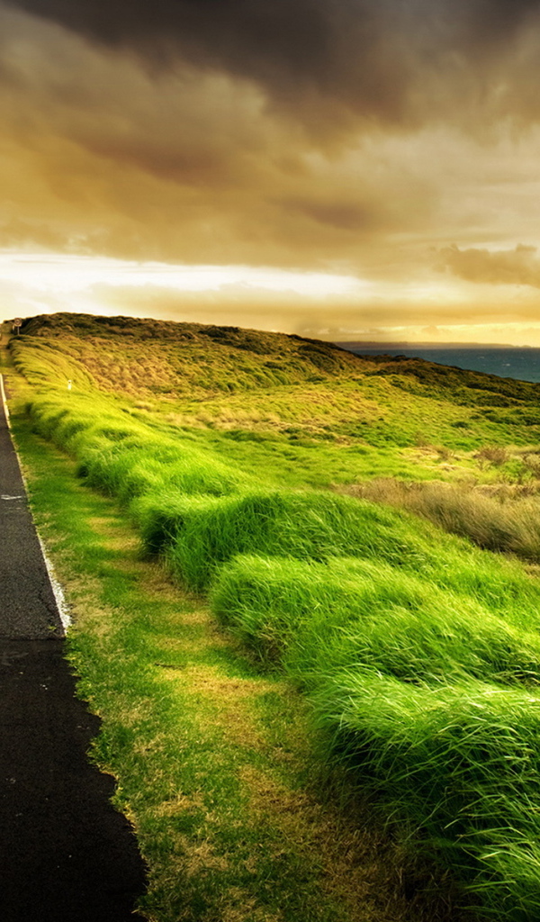 Дорога на побережье