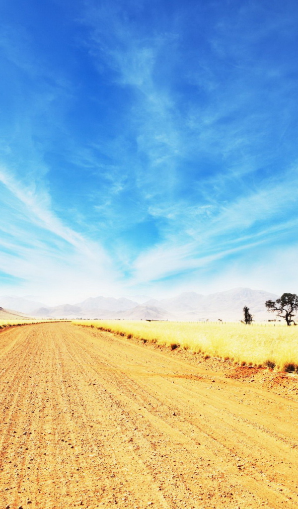 Дорога в саванне