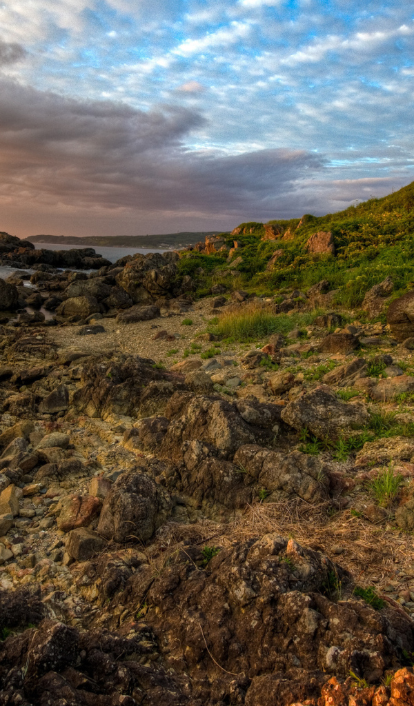 Каменистый берег