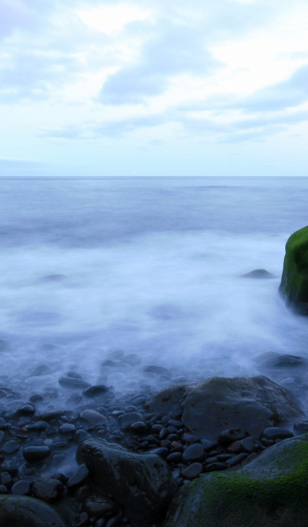 Морское побережье