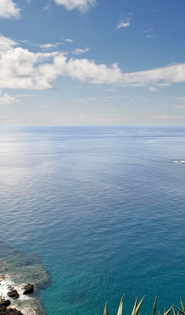 Морской пейзаж