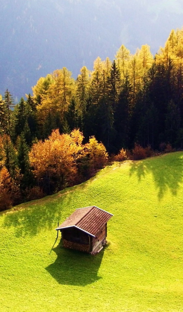 Сарай на горе