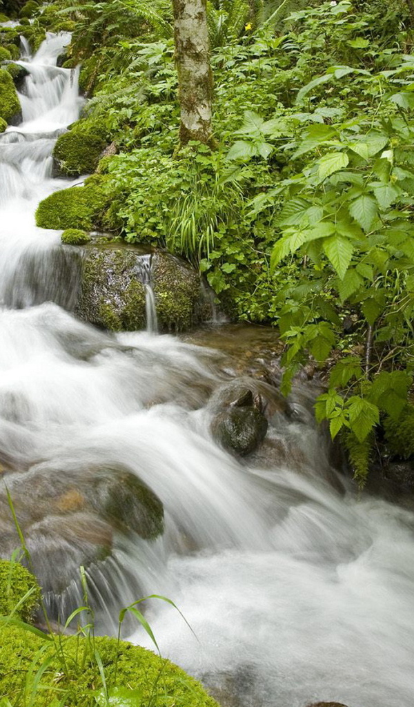 Маленький ручей