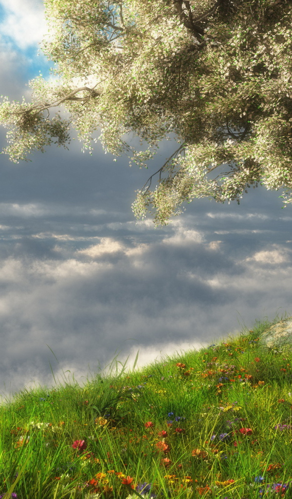 Весеннее цветение