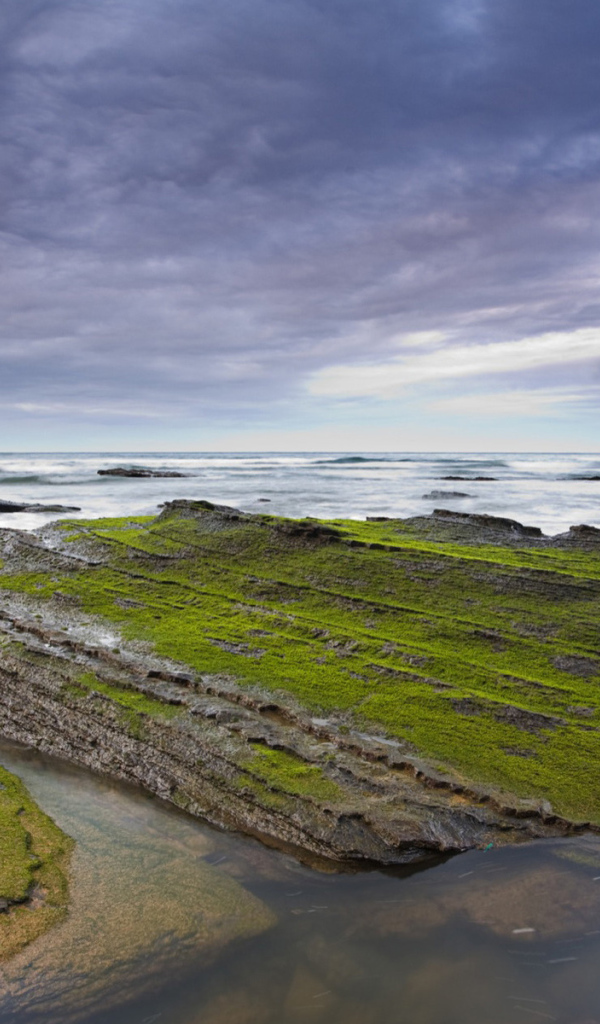 Камни у берега