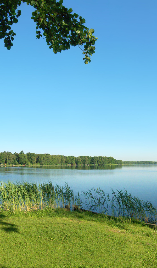 Летняя благодать