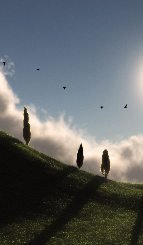 Солнечный холм