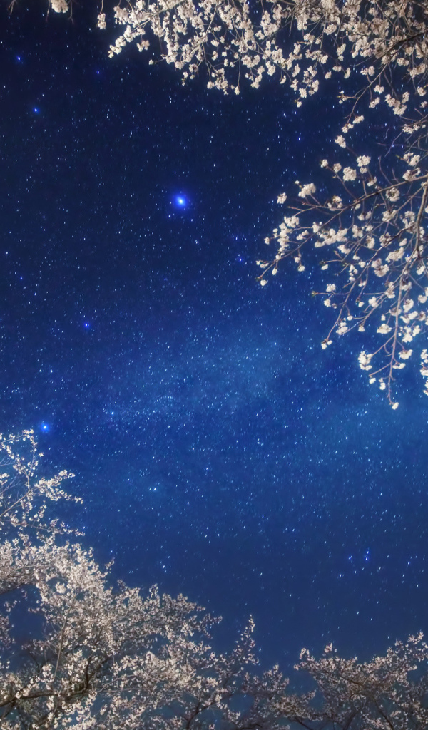 Млечный путь