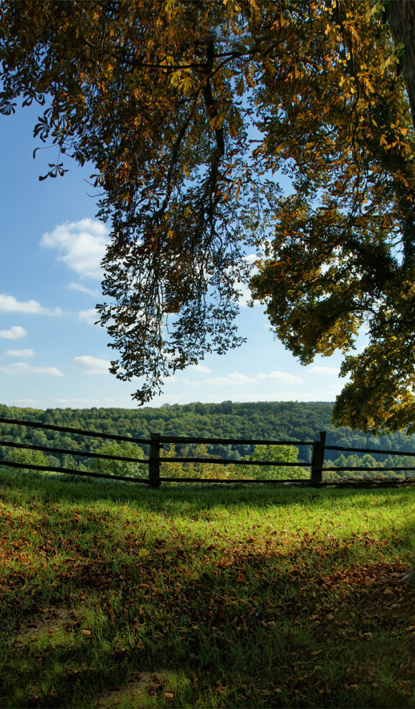 Дом на вершине холма