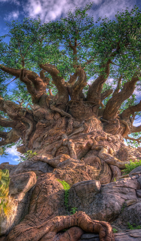 Дерево жизни