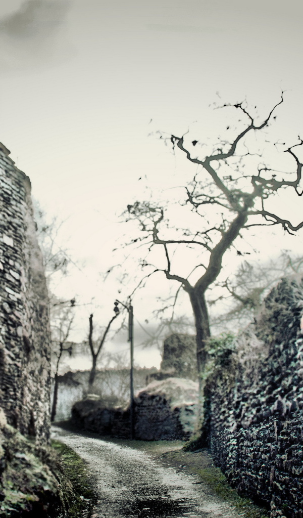 Дорожка между стен