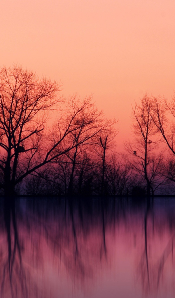 Сказки сумрака