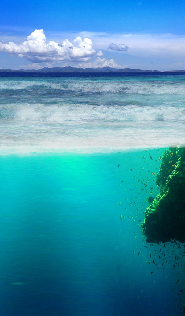 Подводный мир