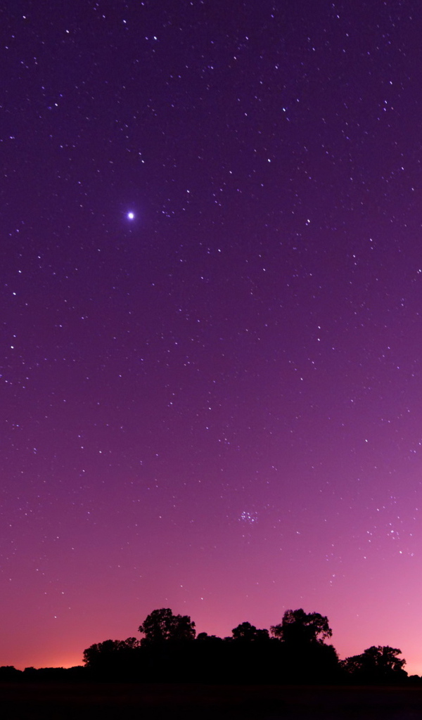 Фиолетовое небо